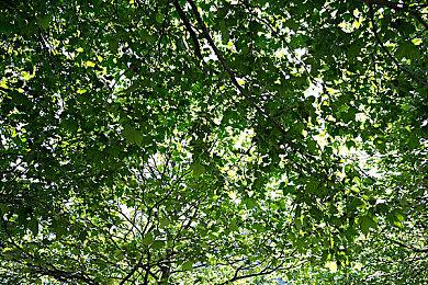 光谱资讯经典游戏《天下霸图》Steam页面上线 2月17日发售